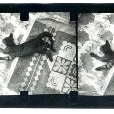 Vladimir Cervenka Diptisi Triptisi 25