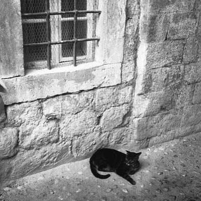 Vladimir Cervenka Dubrovnik 11