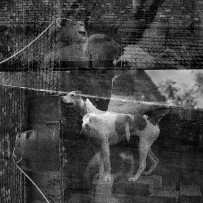 Vladimir Cervenka Foto Morgane 32