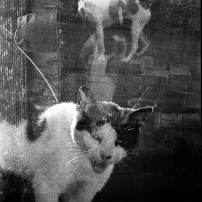 Vladimir Cervenka Foto Morgane 33