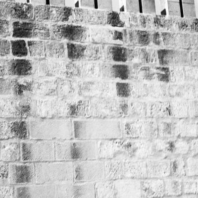 Vladimir Cervenka Foto Morgane 49