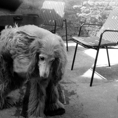 Vladimir Cervenka Fotografije Sa Greskom 08