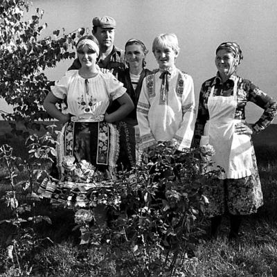 Vladimir Cervenka Grupne12