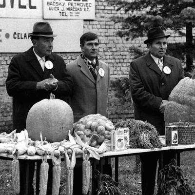 Vladimir Cervenka Grupne27