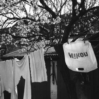 Vladimir Cervenka Konopac Za Ves 01