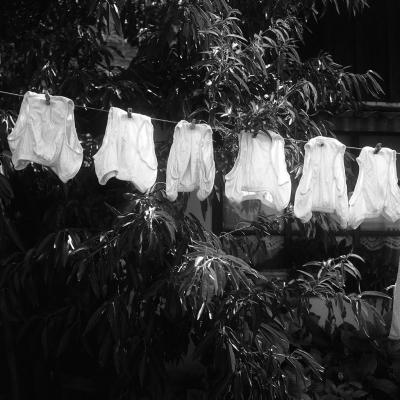 Vladimir Cervenka Konopac Za Ves 03