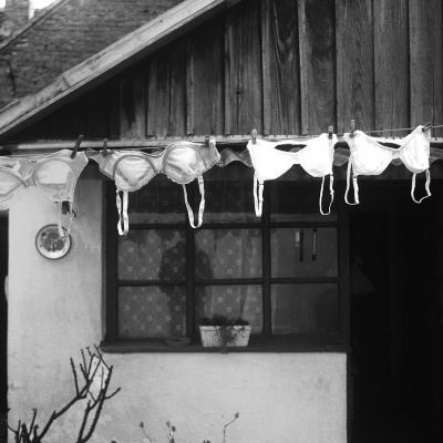 Vladimir Cervenka Konopac Za Ves 04