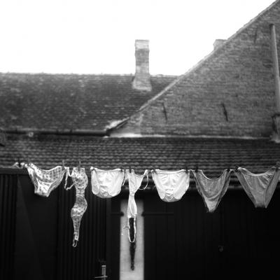 Vladimir Cervenka Konopac Za Ves 05