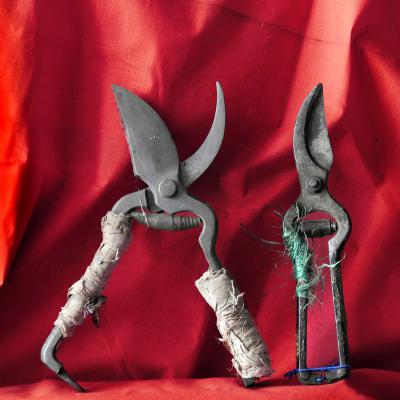 Vladimir Cervenka Novo 0 06