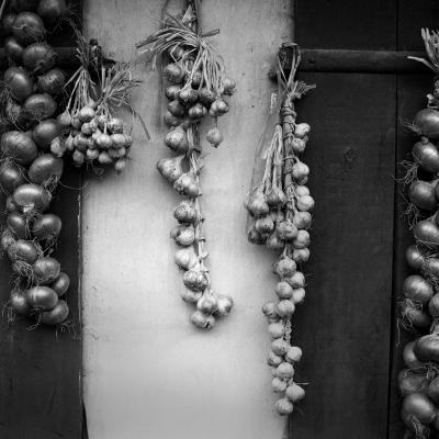 Vladimir Cervenka Mrtva Priroda 05