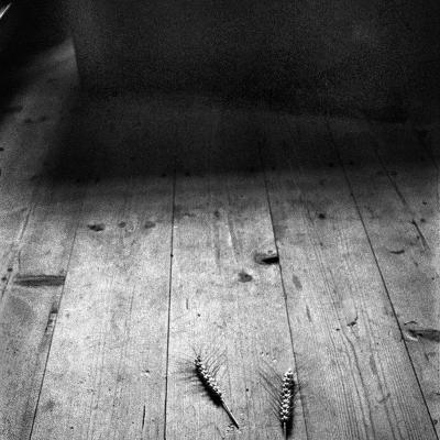 Vladimir Cervenka Mrtva Priroda 11