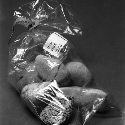 Vladimir Cervenka Mrtva Priroda 26