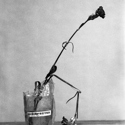 Vladimir Cervenka Mrtva Priroda 27