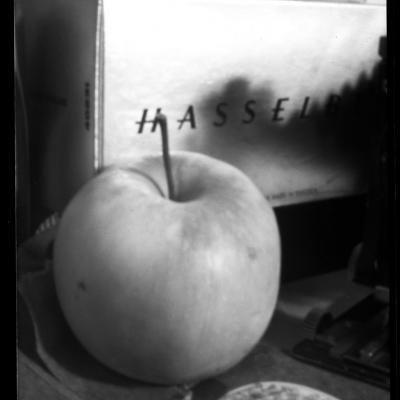 Vladimir Cervenka Mrtva Priroda 36