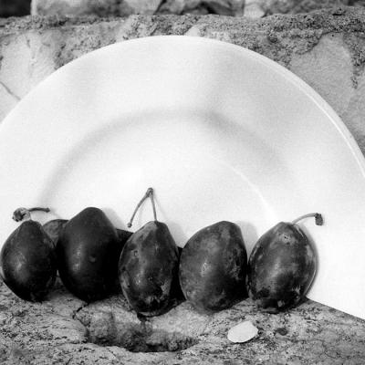 Vladimir Cervenka Mrtva Priroda 42