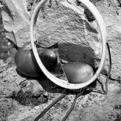 Vladimir Cervenka Mrtva Priroda 43