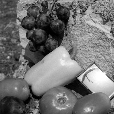 Vladimir Cervenka Mrtva Priroda 44