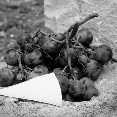 Vladimir Cervenka Mrtva Priroda 45