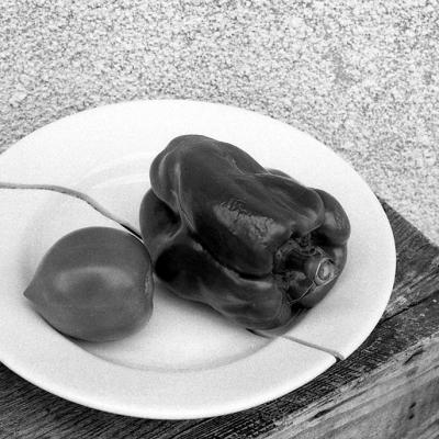 Vladimir Cervenka Mrtva Priroda 46