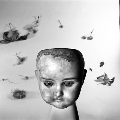 Vladimir Cervenka Mrtva Priroda 50