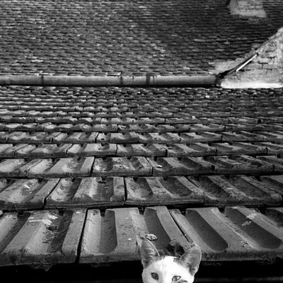 Vladimir Cervenka Slobodne01