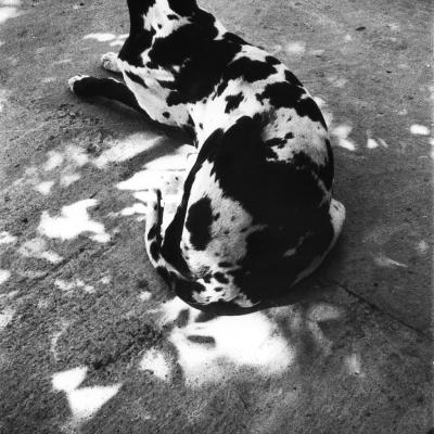 Vladimir Cervenka Slobodne11