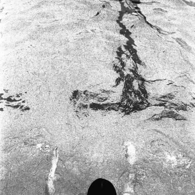 Vladimir Cervenka Plivanje 08