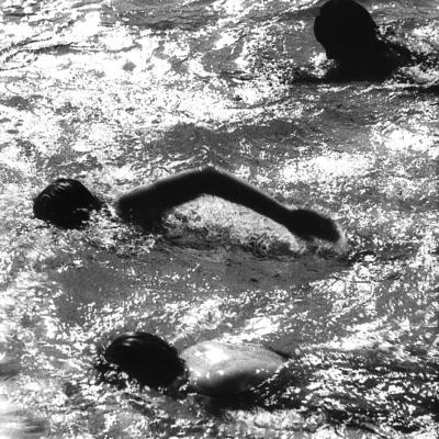 Vladimir Cervenka Plivanje 17