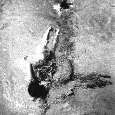 Vladimir Cervenka Plivanje 19