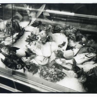 Vladimir Cervenka Venezia60