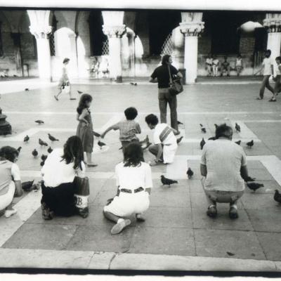 Vladimir Cervenka Venezia82