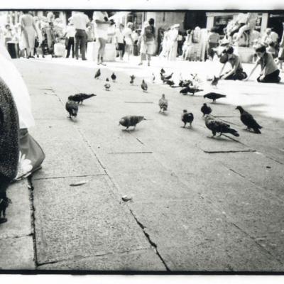 Vladimir Cervenka Venezia84