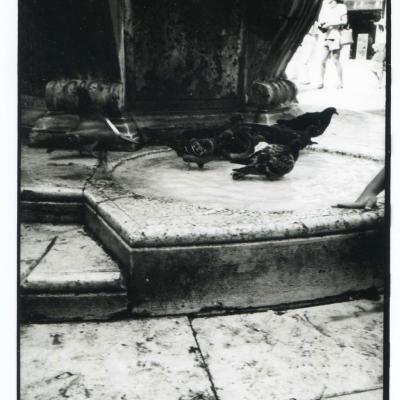 Vladimir Cervenka Venezia89