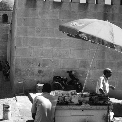 Vladimir Cervenka Tunis 16