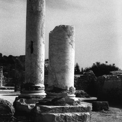 Vladimir Cervenka Tunis 33