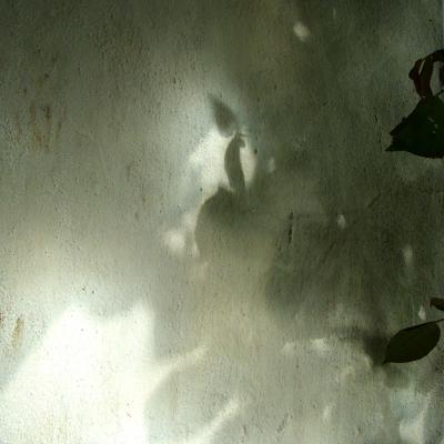 Vladimir Cervenka Svetlo Senke15