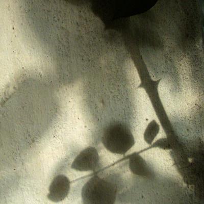 Vladimir Cervenka Svetlo Senke17