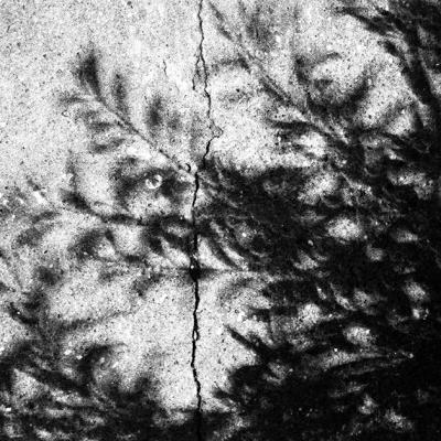 Vladimir Cervenka Svetlo Senke18