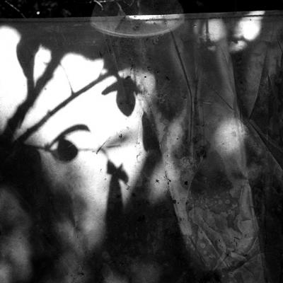 Vladimir Cervenka Svetlo Senke20