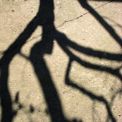 Vladimir Cervenka Svetlo Senke37