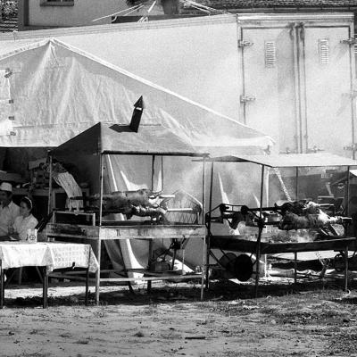 Vladimir Cervenka Seoba Srba 35