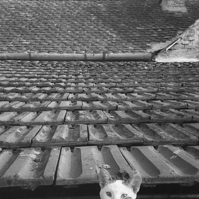 Vladimir Cervenka Macke01