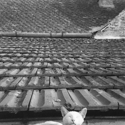 Vladimir Cervenka Macke02