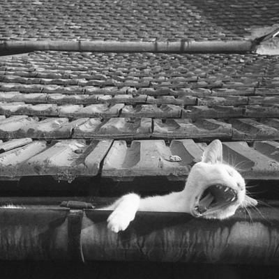 Vladimir Cervenka Macke03