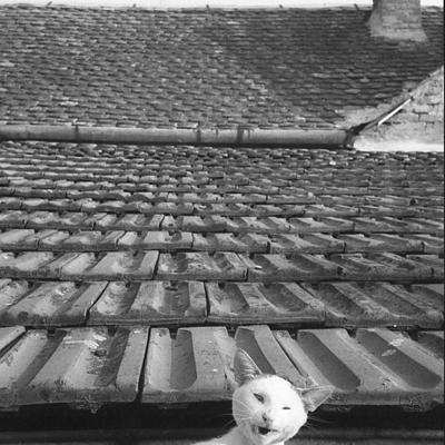 Vladimir Cervenka Macke04