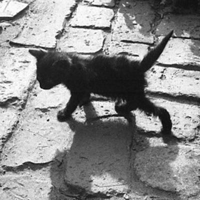 Vladimir Cervenka Macke05