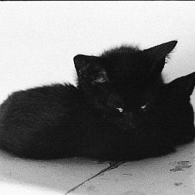 Vladimir Cervenka Macke06