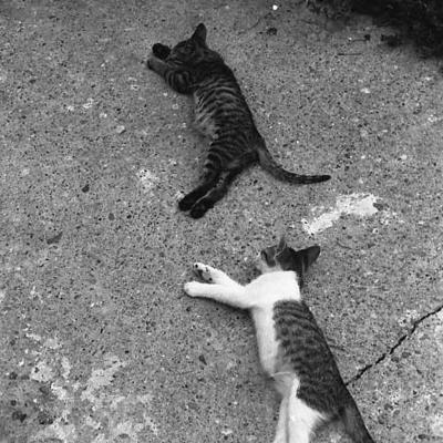 Vladimir Cervenka Macke07