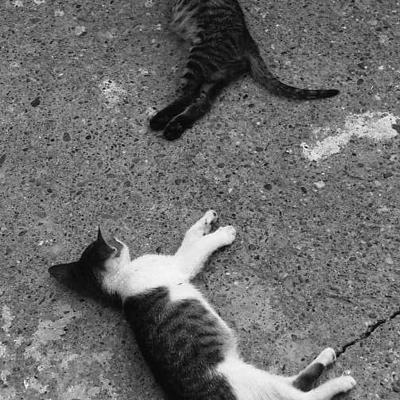 Vladimir Cervenka Macke08