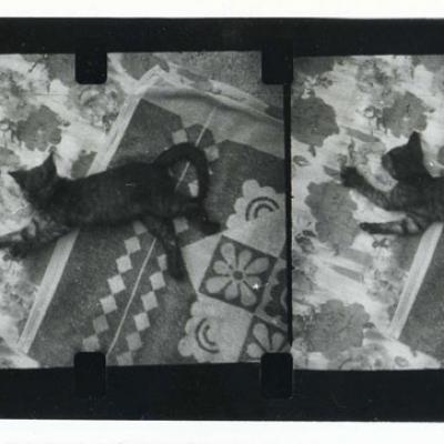 Vladimir Cervenka Macke11